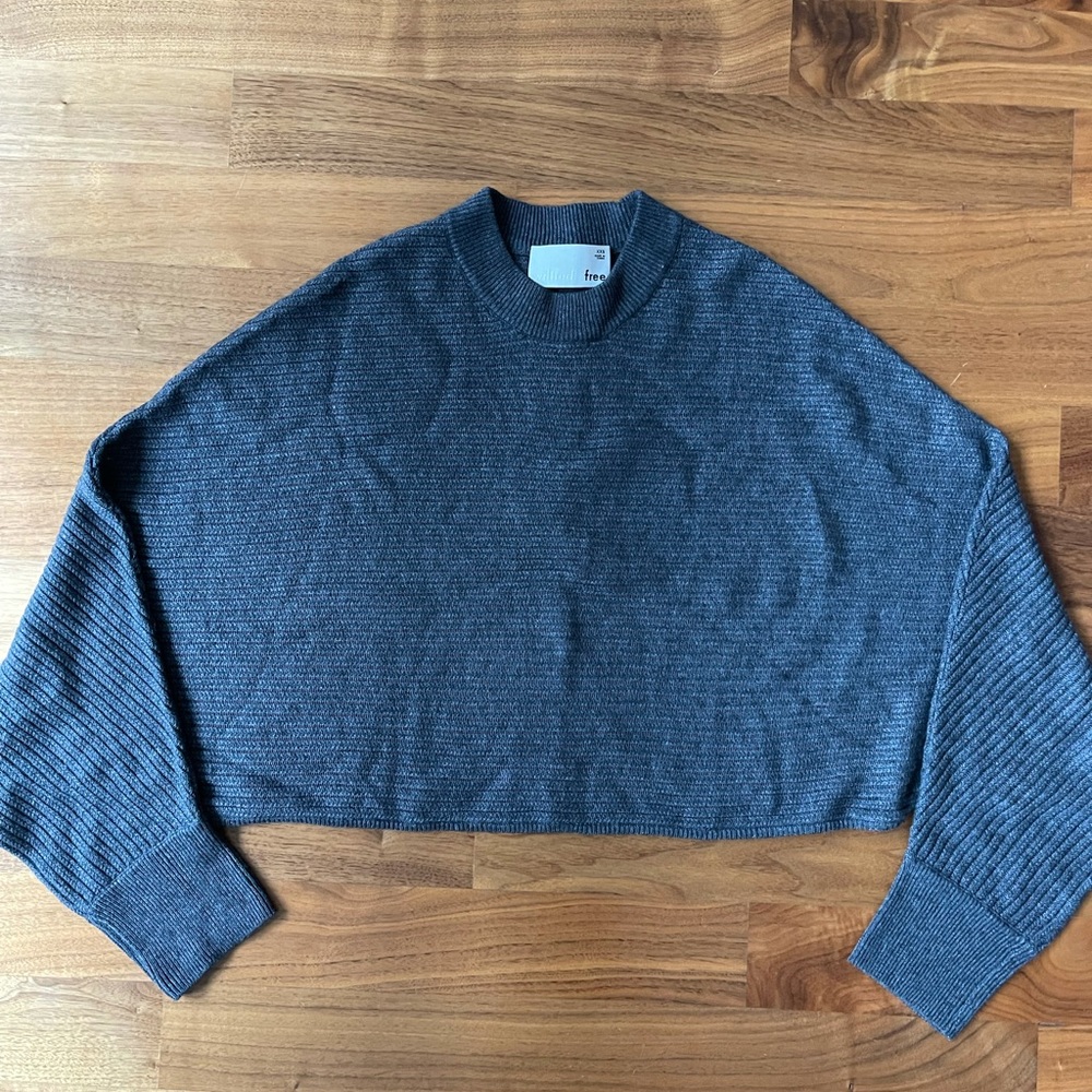 Aritzia Wilfred Free Grey Cropped Sweater